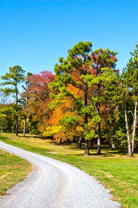 Fall Installation Scene